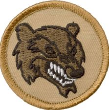 Wolverine Patch And Webelos Arrow