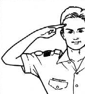 Scout Salute