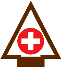 AOL First Aid Adventure