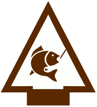 AOL Fishing Adventure