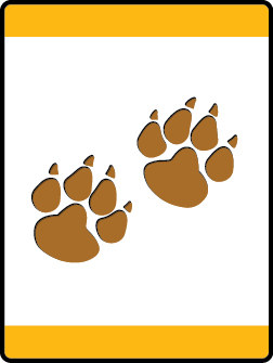 Mountain Lion
