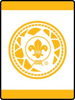 Lion Champions for Nature Adventure