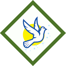 Webelos My Family Adventure