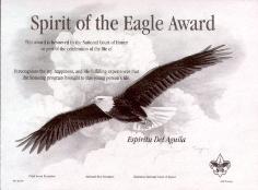 Spirit of the Eagle