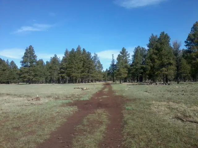 Day 33 - 4/18 - Mormon Lake