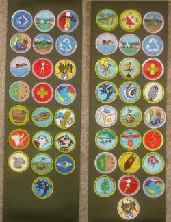 Top 10 Life Skills Merit Badges