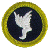 Athletics merit badge