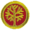 Genealogy Merit Badge