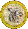 Mammal Study merit badge