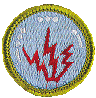 Radio merit badge