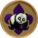 boy scout world conservation