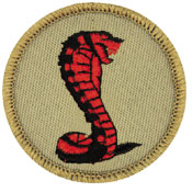 tiger scout