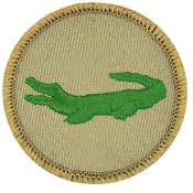Great Boy Scout Patrol Patch! #773 The Game Controller Patrol 