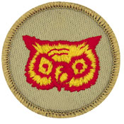 owl