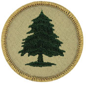 #756 The Red Pine Patrol Cool Boy Scout Patrol Patch! 