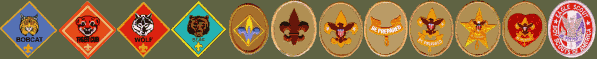 choose your boy scout rank