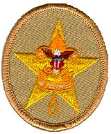 star rank badge