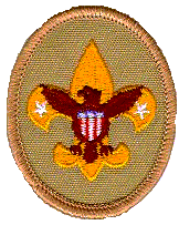 tenderfoot rank badge