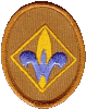 Webelos Scout Organization