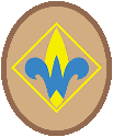 Webelos Scout Resources for a Great Program